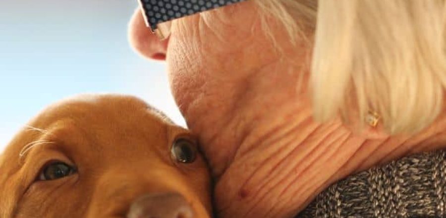 Terapia con animales en personas mayores